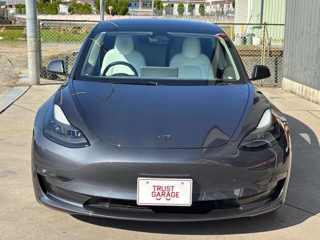 TESLA TESLA MODEL 3 2021