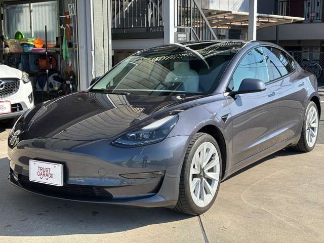 TESLA TESLA MODEL 3 2021