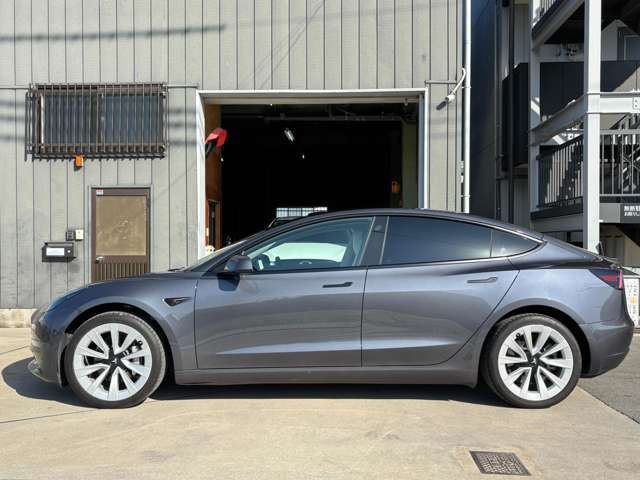 TESLA TESLA MODEL 3 2021
