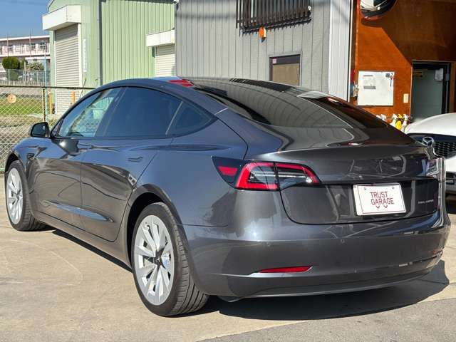 TESLA TESLA MODEL 3 2021