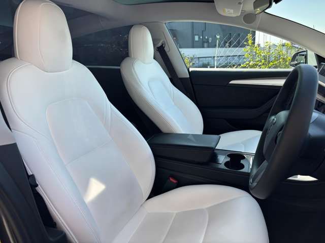 TESLA TESLA MODEL 3 2021