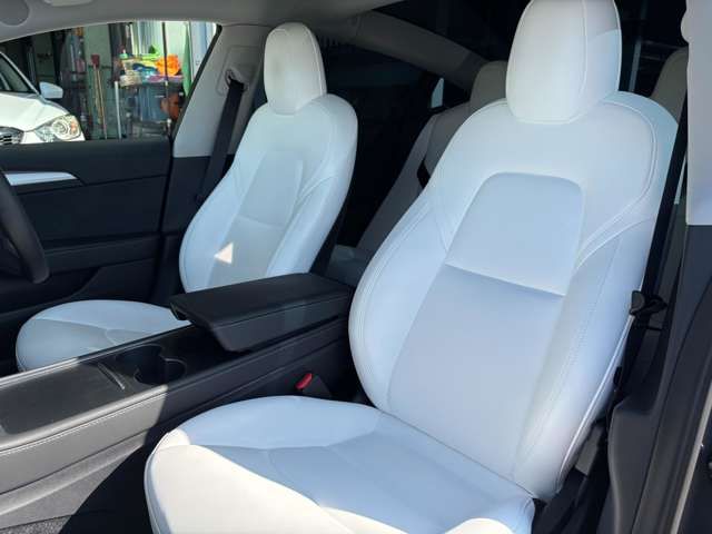 TESLA TESLA MODEL 3 2021