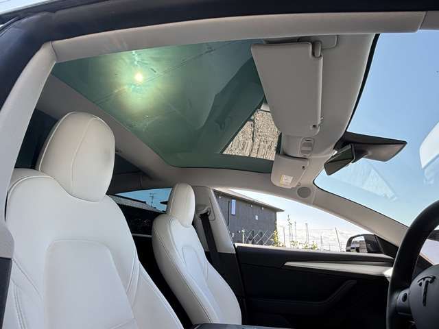 TESLA TESLA MODEL 3 2021