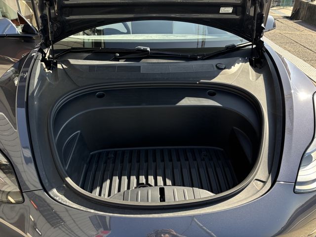 TESLA TESLA MODEL 3 2021