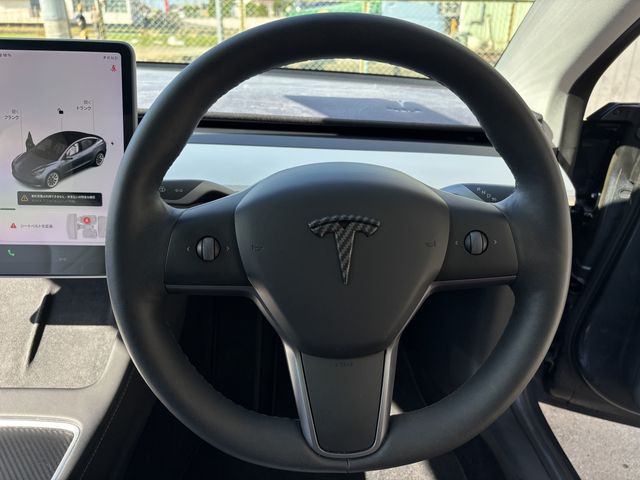 TESLA TESLA MODEL 3 2021