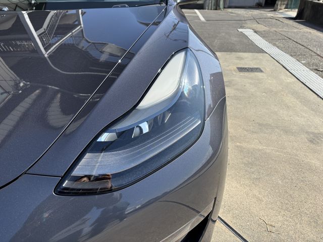 TESLA TESLA MODEL 3 2021
