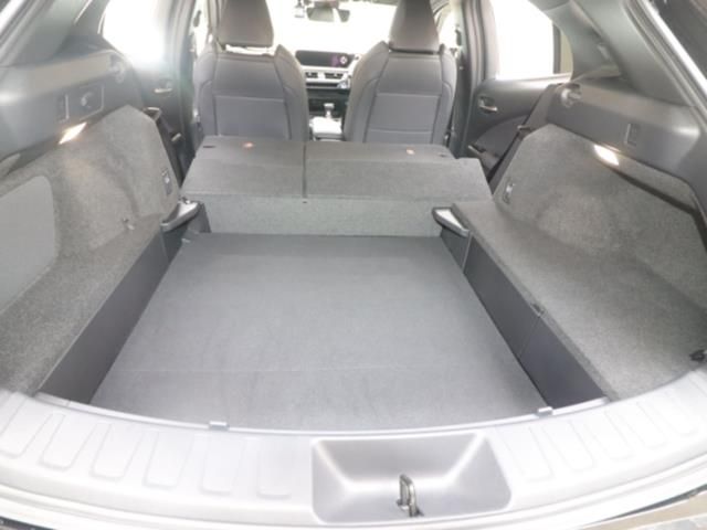 TOYOTA LEXUS UX250h 2020