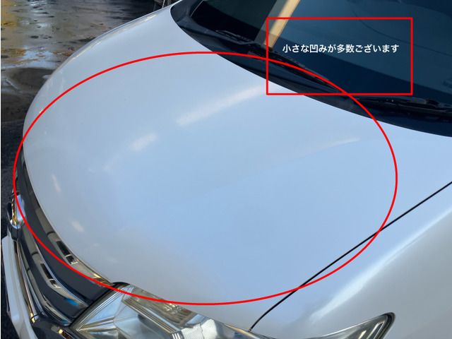 NISSAN SERENA  WG 2011