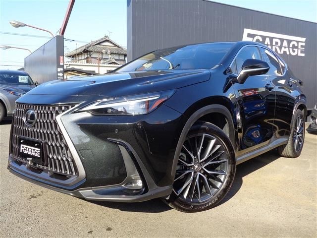 TOYOTA LEXUS NX250 2022