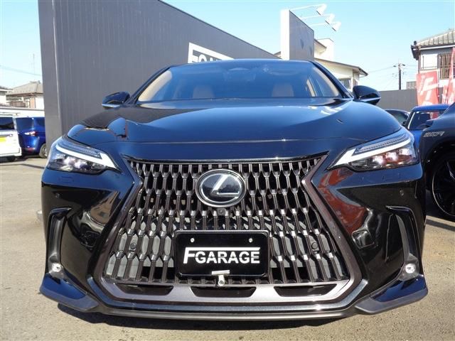 TOYOTA LEXUS NX250 2022