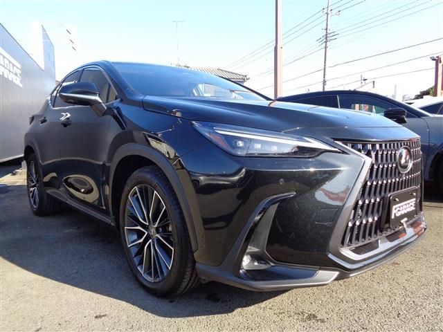 TOYOTA LEXUS NX250 2022