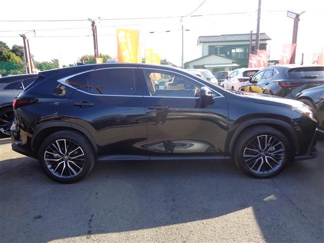 TOYOTA LEXUS NX250 2022