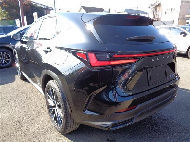 TOYOTA LEXUS NX250 2022