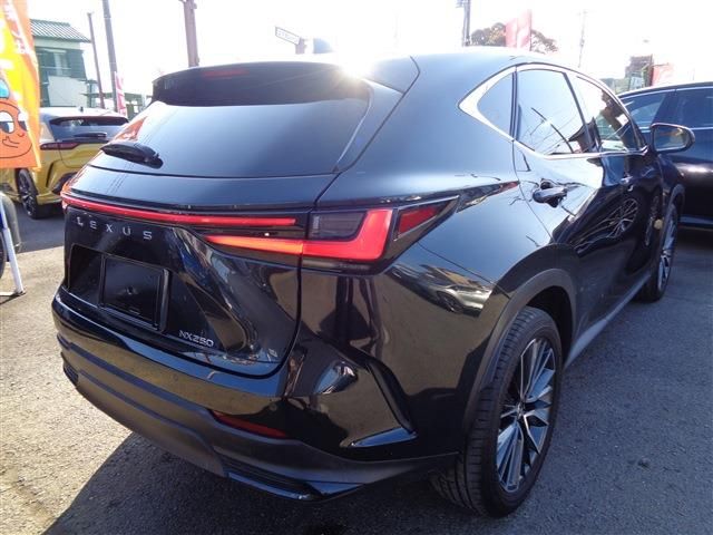 TOYOTA LEXUS NX250 2022