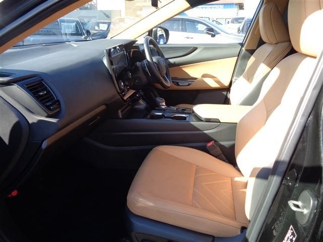 TOYOTA LEXUS NX250 2022