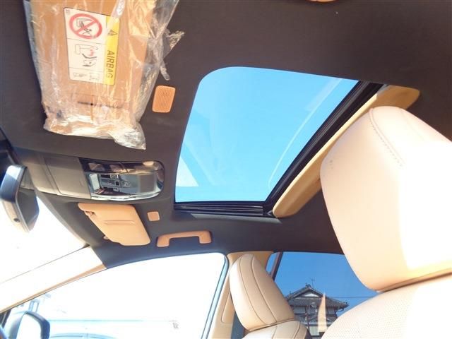 TOYOTA LEXUS NX250 2022