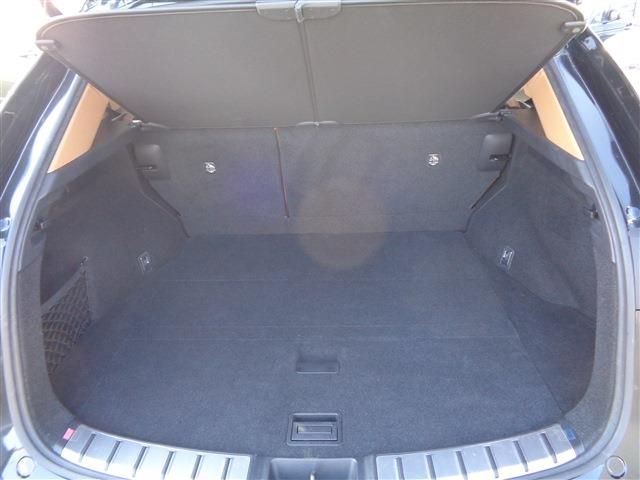 TOYOTA LEXUS NX250 2022