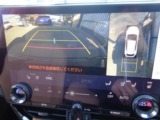 TOYOTA LEXUS NX250 2022