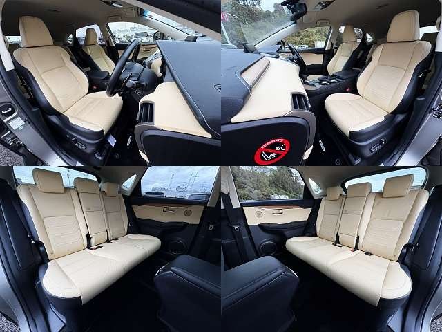 TOYOTA LEXUS NX300h 2015