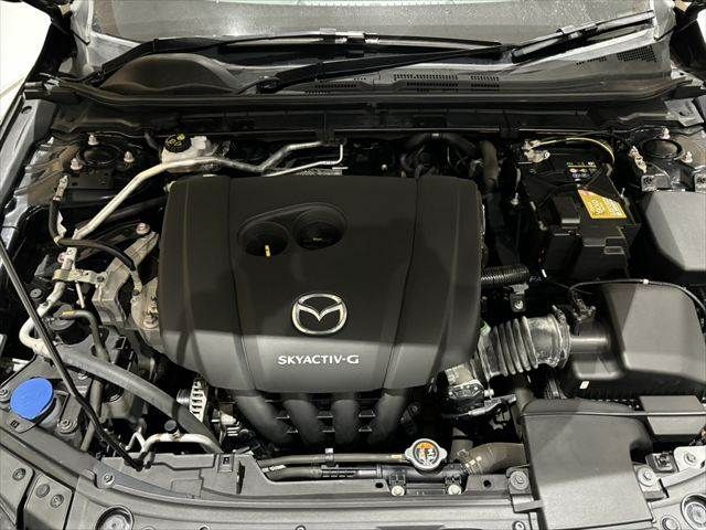 MAZDA MAZDA3 FASTBACK 2019