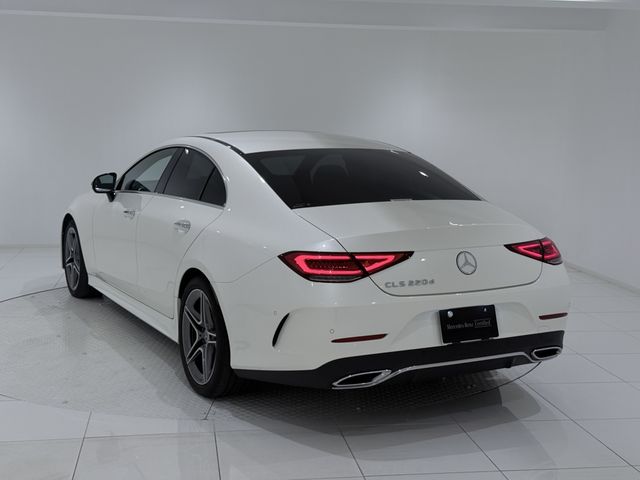 MERCEDES BENZ MERCEDES BENZ CLS class 2019