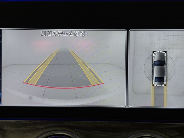 MERCEDES BENZ MERCEDES BENZ CLS class 2019