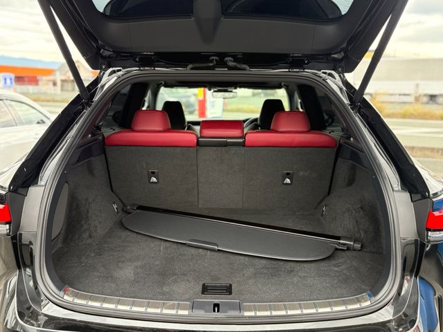 TOYOTA LEXUS RX500h 2023