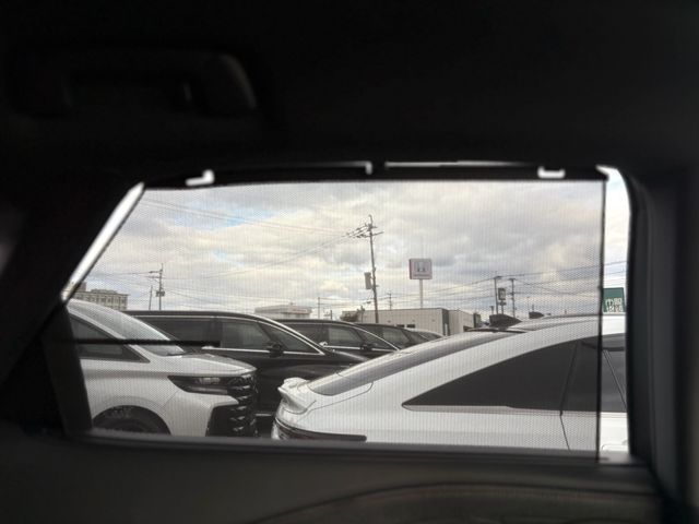 TOYOTA LEXUS RX500h 2023