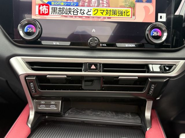 TOYOTA LEXUS RX500h 2023