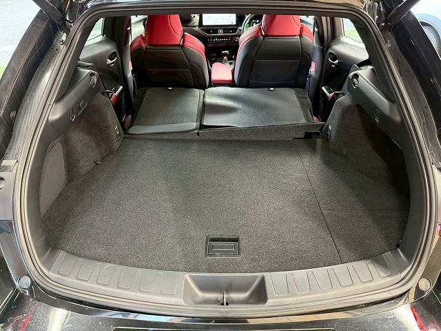 TOYOTA LEXUS UX250h 2022