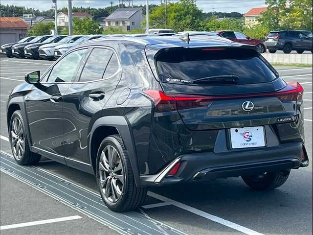 TOYOTA LEXUS UX250h 2022