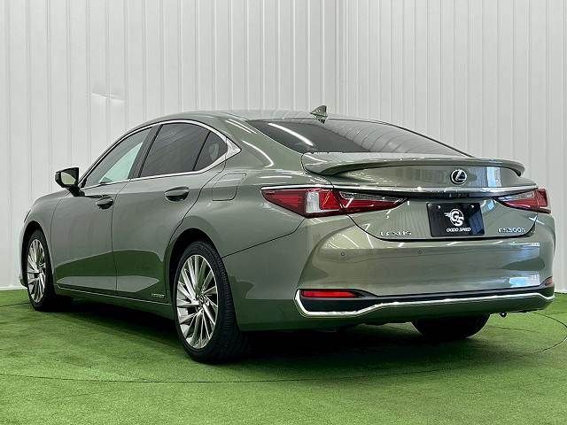 TOYOTA LEXUS ES300h 2019