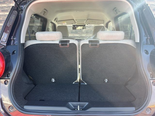 DAIHATSU CAST STYLE 2019