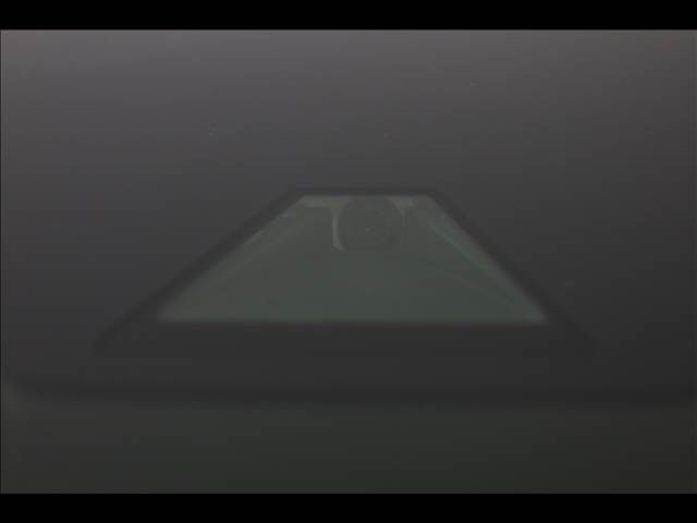 TOYOTA VELLFIRE  HYBRID 4WD 2019