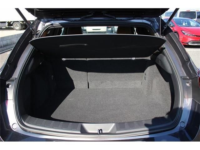 TOYOTA LEXUS UX300e 2024