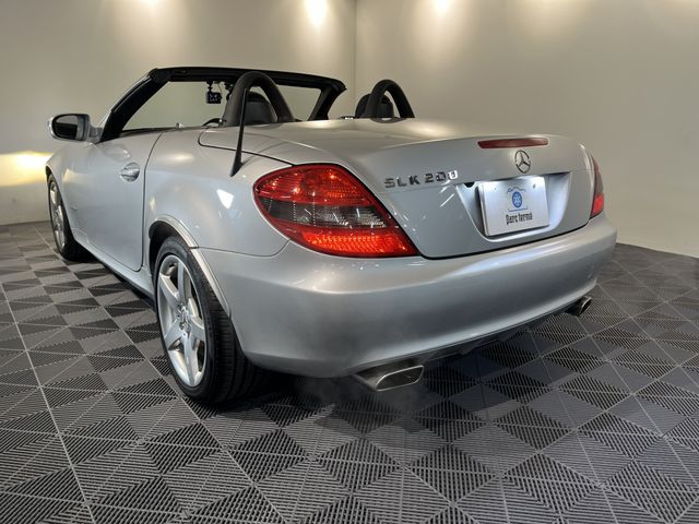 MERCEDES BENZ MERCEDES BENZ SLK class 2009