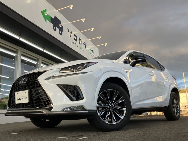 TOYOTA LEXUS NX300h 2021