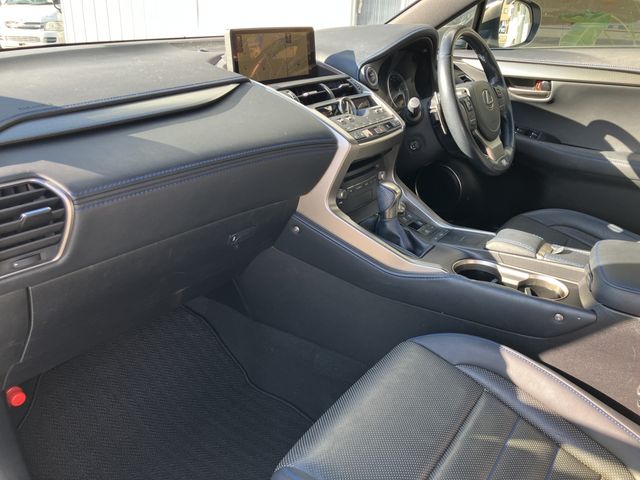 TOYOTA LEXUS NX300h 2021