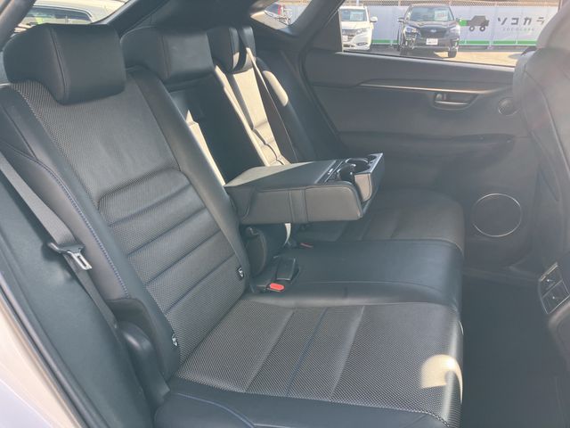 TOYOTA LEXUS NX300h 2021