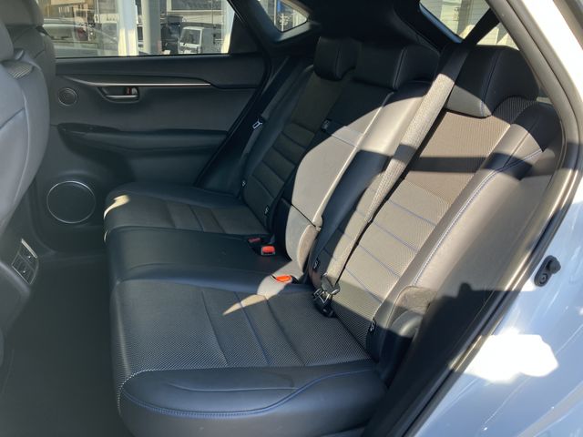 TOYOTA LEXUS NX300h 2021