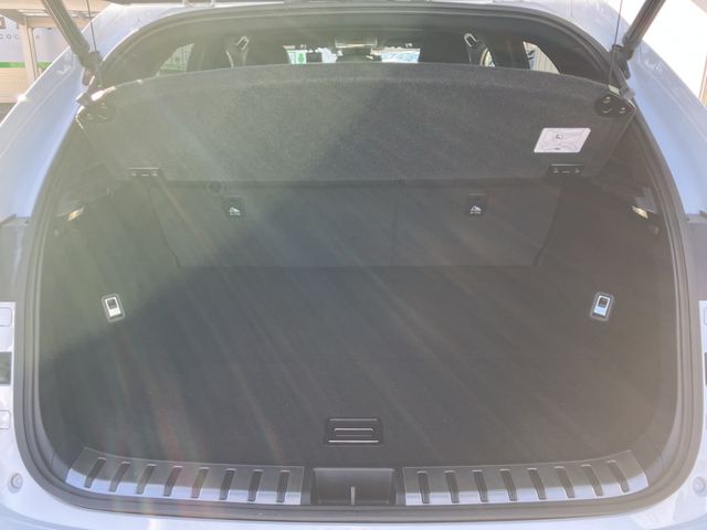 TOYOTA LEXUS NX300h 2021