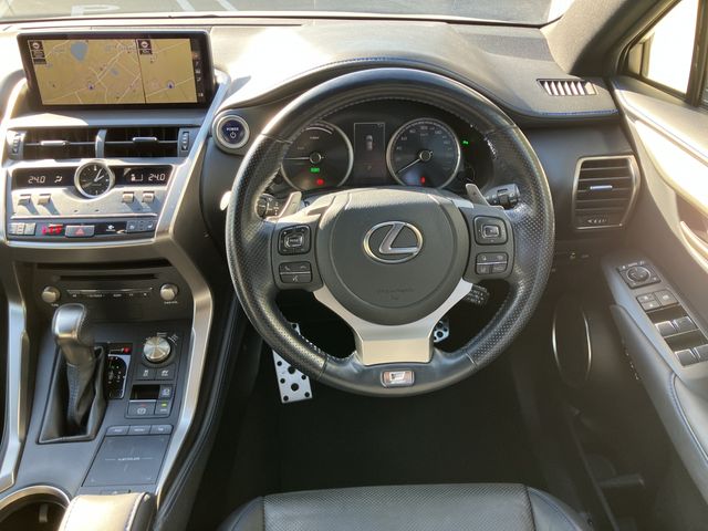 TOYOTA LEXUS NX300h 2021