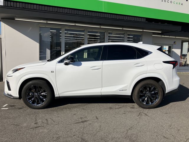 TOYOTA LEXUS NX300h 2021