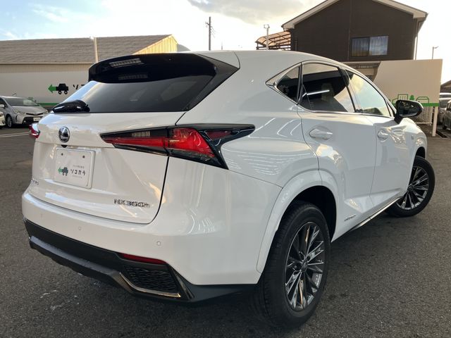 TOYOTA LEXUS NX300h 2021