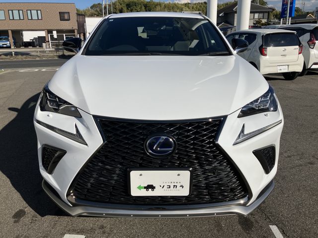 TOYOTA LEXUS NX300h 2021
