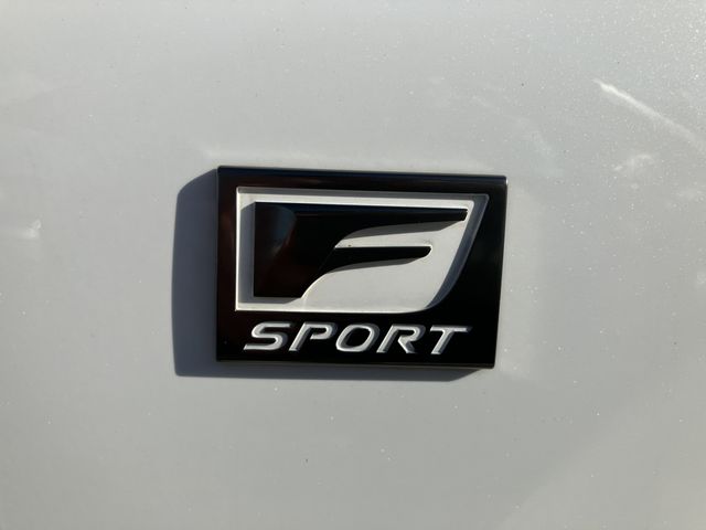 TOYOTA LEXUS NX300h 2021