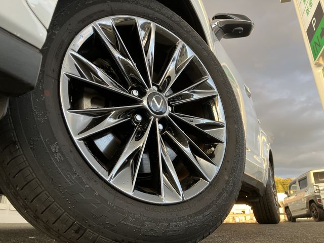 TOYOTA LEXUS NX300h 2021