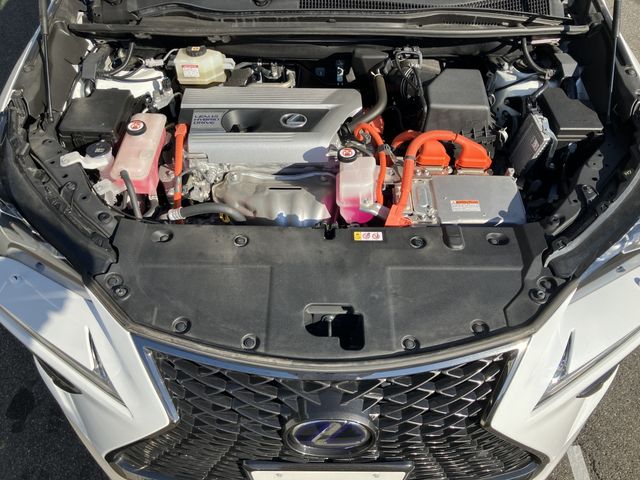TOYOTA LEXUS NX300h 2021