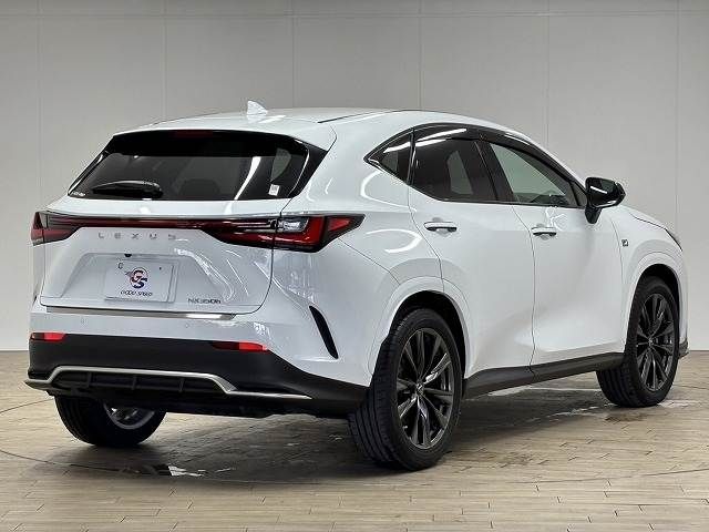 TOYOTA LEXUS NX350h 2022