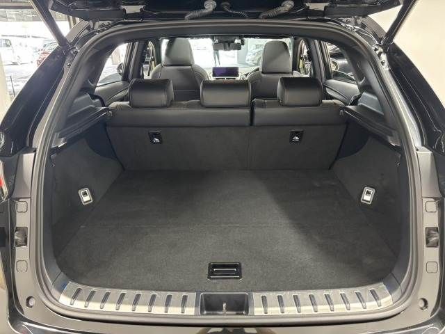 TOYOTA LEXUS NX300h 2020